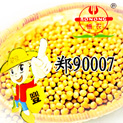 ֣90007
